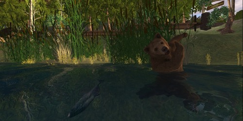 Web 51b0299f709ef724d6000001