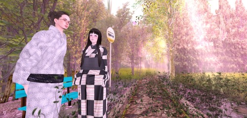 Web 51e403caa27c830cbb000001