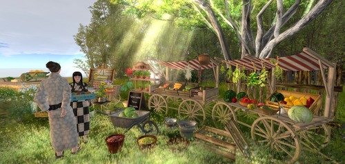 Web 51e405533b83c453fd000001