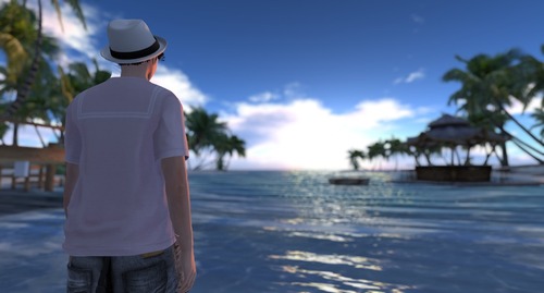 Web 559bf28cf8a1ec068d000001