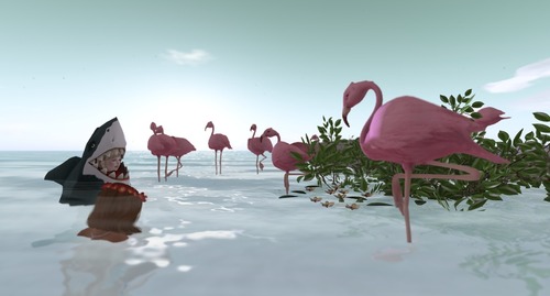 Web 55a93410f8a1ec33d7000001