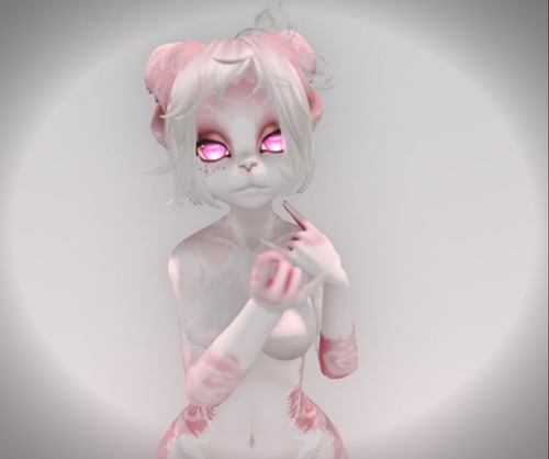 Web 56c0b25776408b0523000001