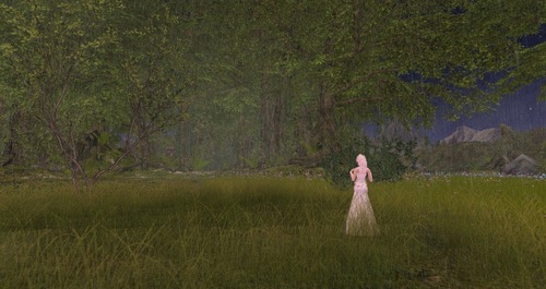 Web 534f815bf8a1ec5abe000001