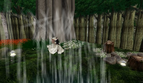 Web 5032e5369d8d643c7e000001