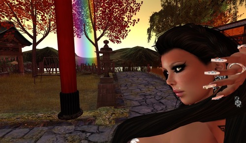 Web 50e86f51e3f5d03eea000001