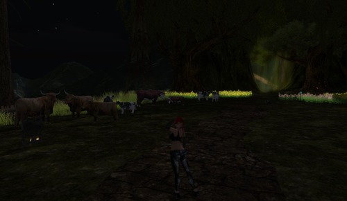 Web 5023ccceb8924a7073000001