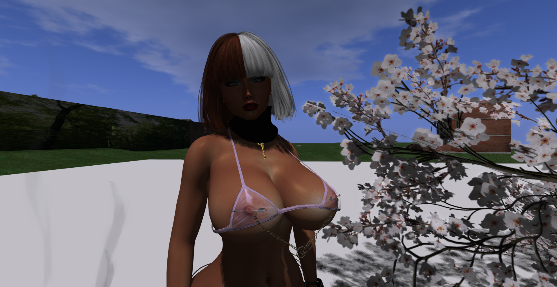 Original 625c19e19044f47651d1fa41