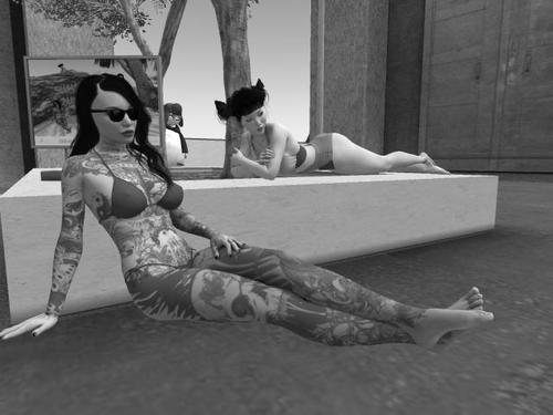 Web 5fb3aa2de30bef15d1281aa8