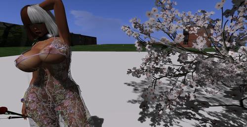 Web 625c18a9eb58b32918623cb4