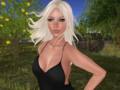 Web 5415a40d8da5724cd4000001