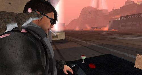 Web 59e6dcfdd774f81de6000001