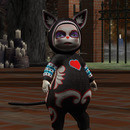 Thumb 648f347aed05c41a952d26bb