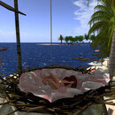 Thumb 65bc9ab8e653c67689e86618