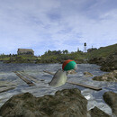 Thumb 65ec6121f55cbd755dd0444a