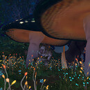 Thumb 66242ee3cbd584271567a888