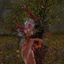 Thumb 66289d583057f864d57e206c