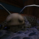 Thumb 6664b899d0ae2a6255c26005