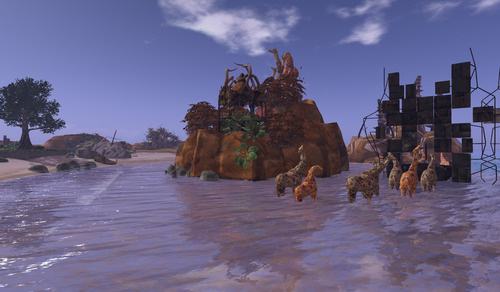 Web 64451054f3b6681049950345