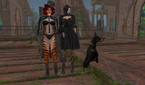 Web 64451a16ef94cc672dcb81b8