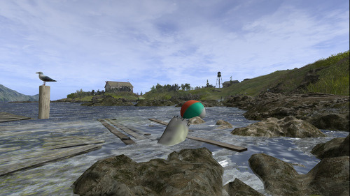 Web 65ec6121f55cbd755dd0444a