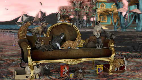 Web 66a94d1d2c8ed2426f729709