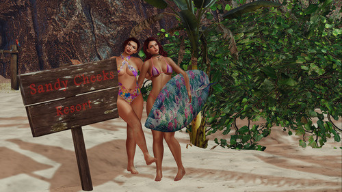 Web 66d32a06acc3e6786788f803