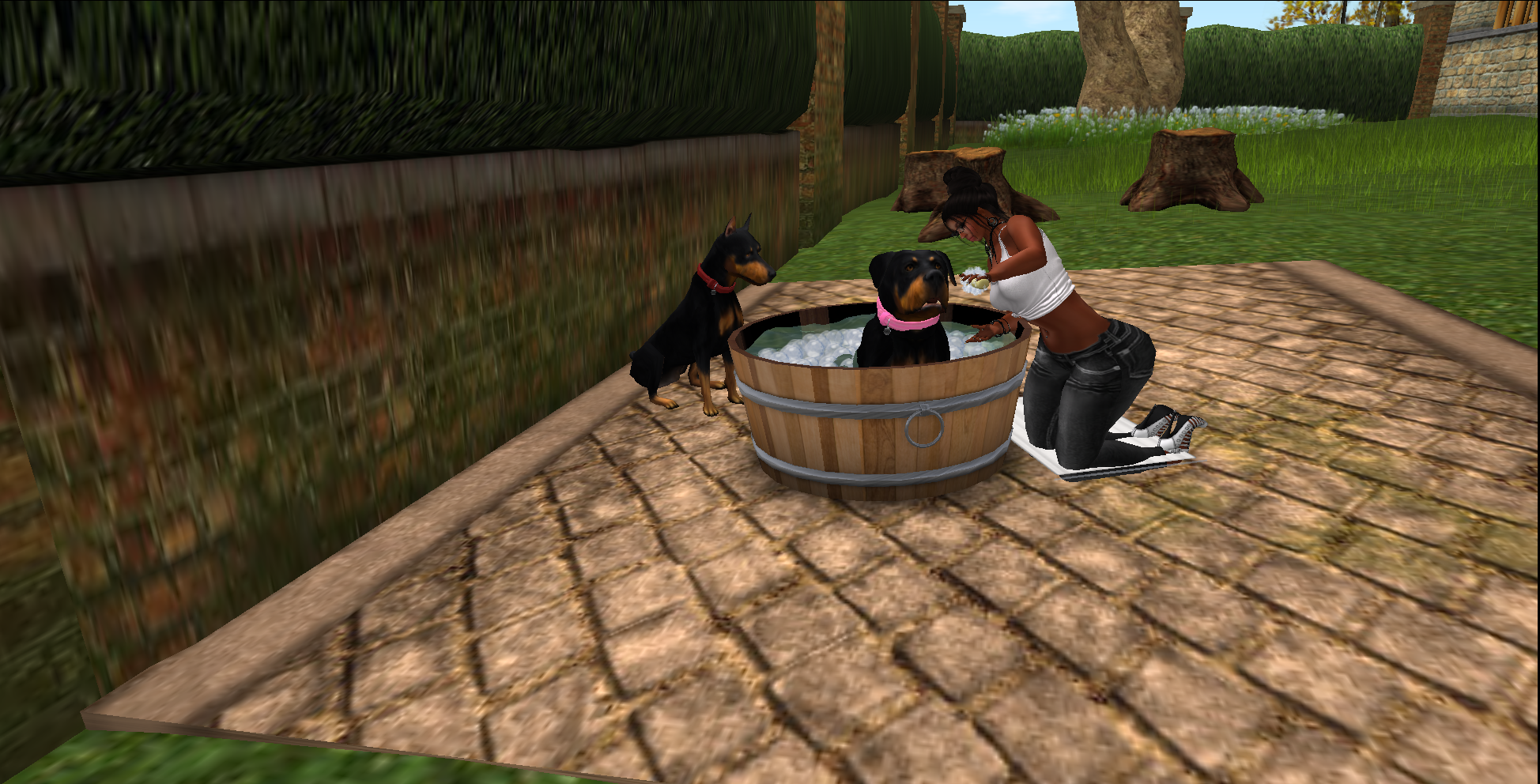 Original 5632dddd128cc93af6000001