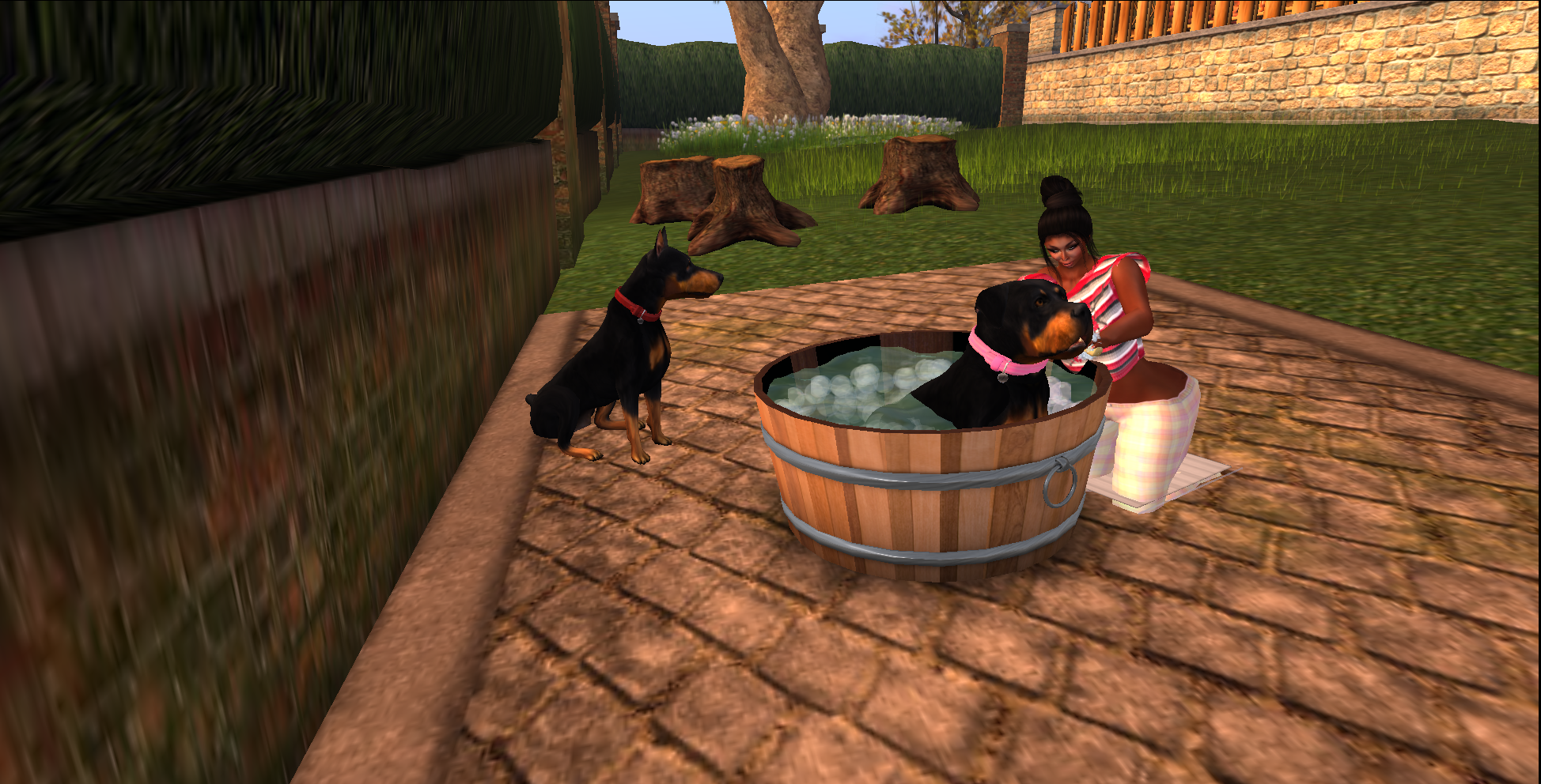 Original 5641561c9934e03c39000001