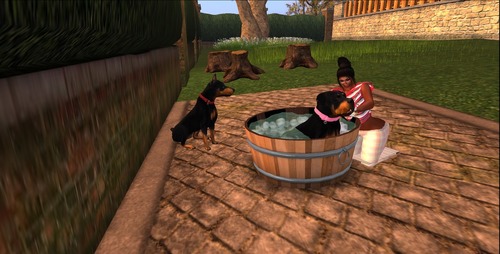 Web 5641561c9934e03c39000001