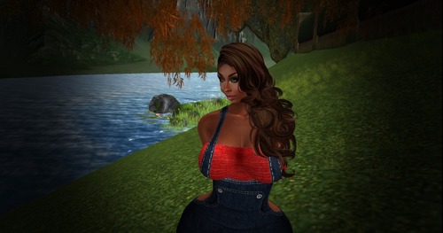 Web 5663aad59934e041e0000001