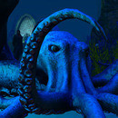 Thumb 64383e5a89c9817796b462dc