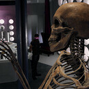 Thumb 66832adb6b9bf4583fcf3c09