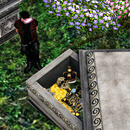 Thumb 6684325b6e233a333f30c087