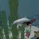 Thumb 516dc89fe9f4dd3726000001