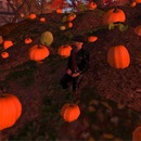 Thumb 5272fa667d7b281cc5000001