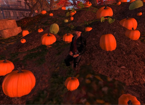 Web 5272fa667d7b281cc5000001