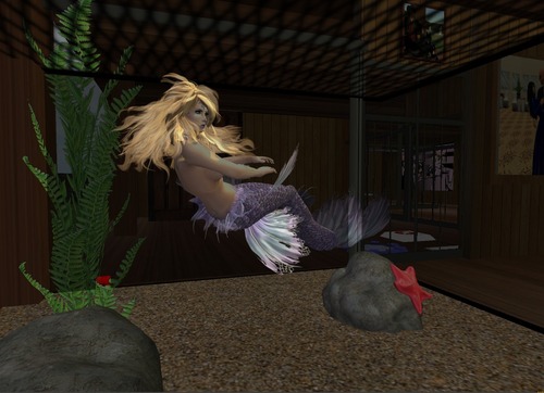 Web 5285be0e36182d1b51000001