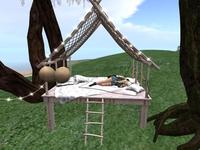 Small 5b3cb3cd289dd20aa5000001