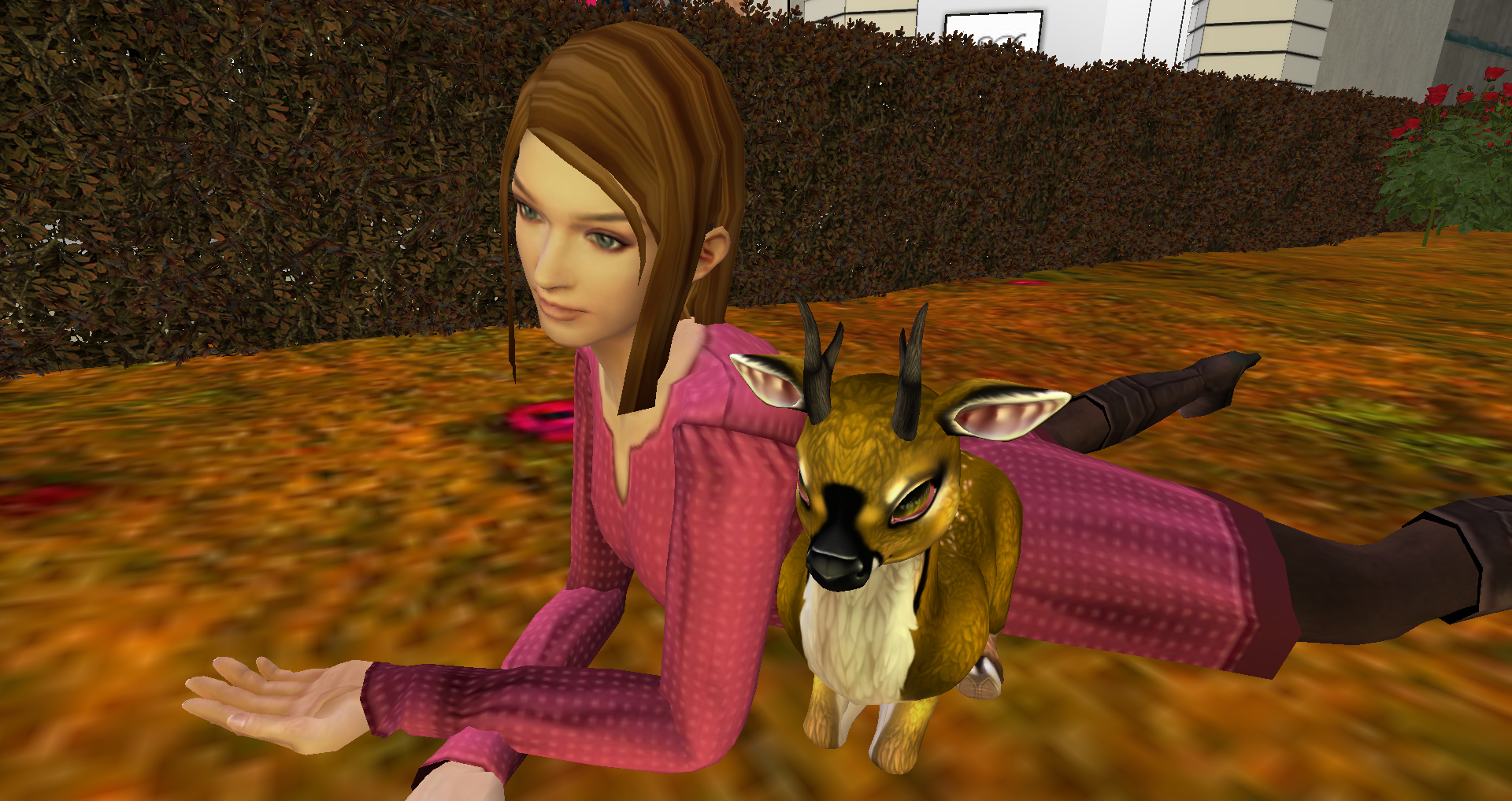 Original 5f937717d774f86ad234e481