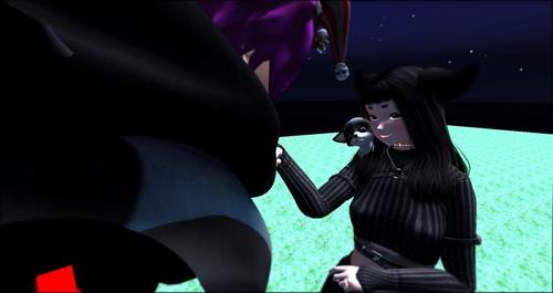 Web 5f90feb9d774f810fb34e481