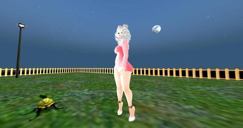 Web 5fbc8ab6a5c9660890eb9932