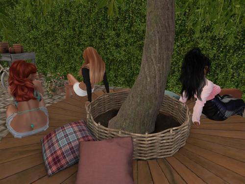 Web 63197a407da5a22c0639ea12