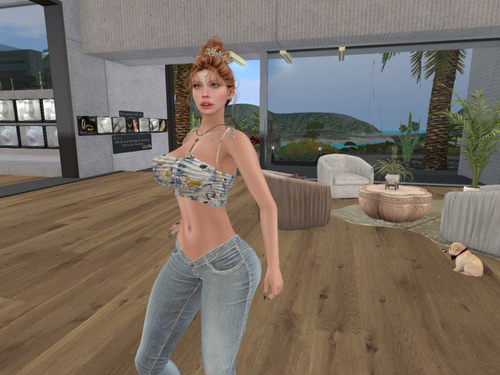 Web 6555a8ee7db0ca23e3764f4d