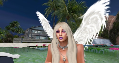 Web 544da30bf8a1ec073f000001