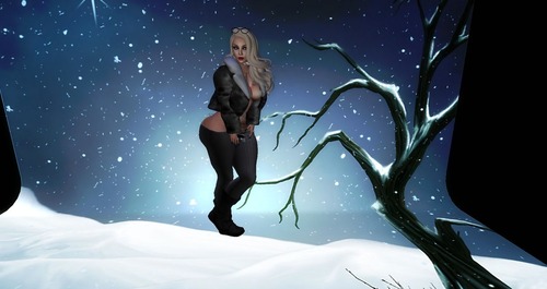 Web 546d385cf8a1ec5328000001