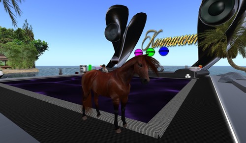 Web 50f260e4abb0a375ef000001