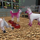 Thumb 4f921c3cd22e7209c7000001