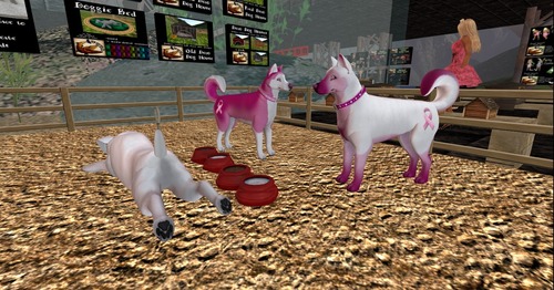 Web 4f921c3cd22e7209c7000001