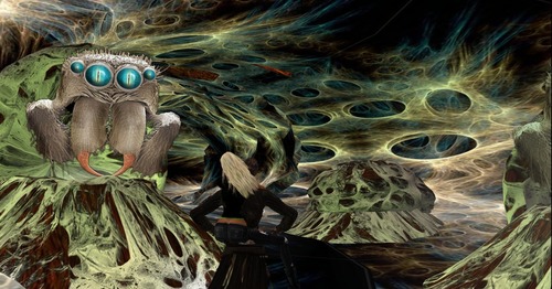 Web 4f93885423262011a2000001