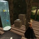 Thumb 517491fed5c16b2fa7000001